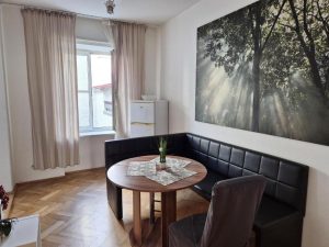 Apartment mit 1 Schlafzimmer (12)