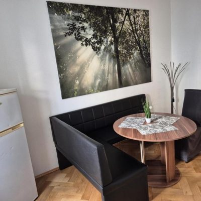 Apartment mit 1 Schlafzimmer (11)