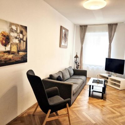 Apartment mit 1 Schlafzimmer (15)