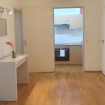 Apartment mit 2 Schlafzimmern (3)