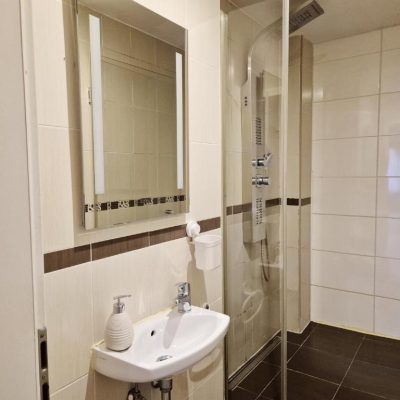 Deluxe Apartament (16)