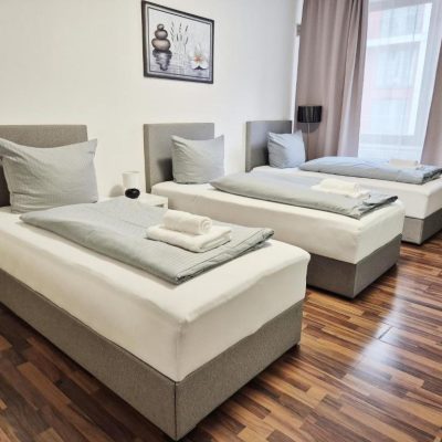 Deluxe Apartament (25)