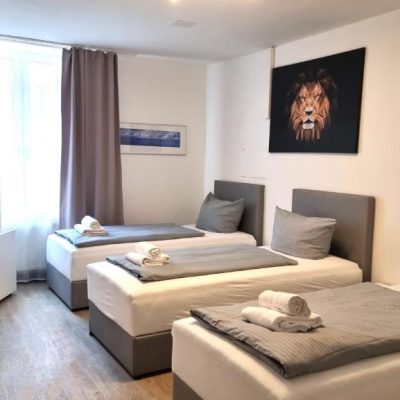 Superior Apartment (11)
